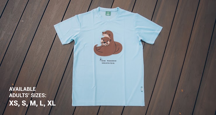 baby blue otter tee